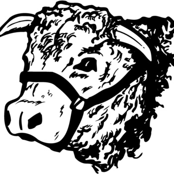 COW003 Thumbnail