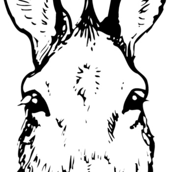 BURRO008 Thumbnail