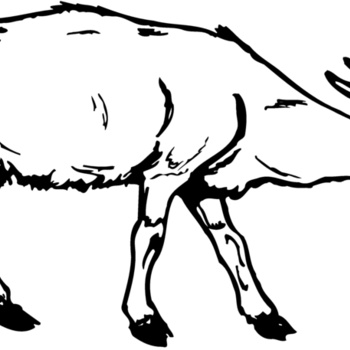 GOAT002 Thumbnail