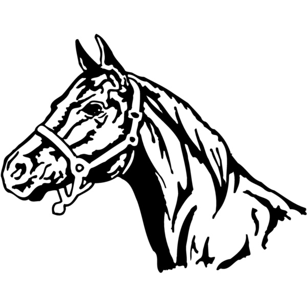 HORSE001 Thumbnail