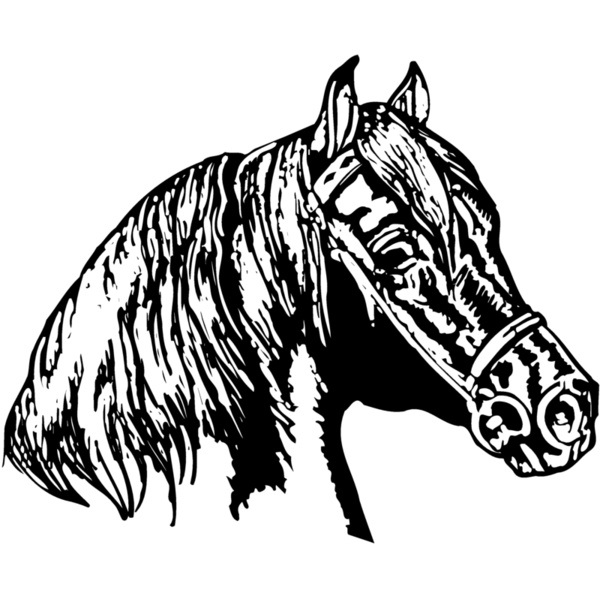 HORSE002 Thumbnail