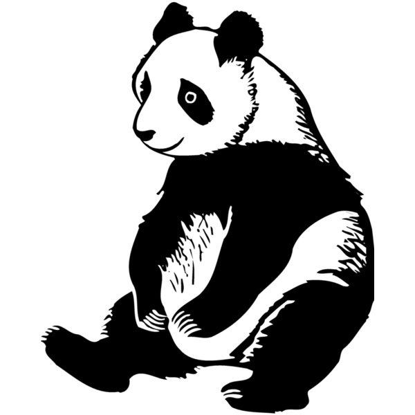 BEAR008 Thumbnail