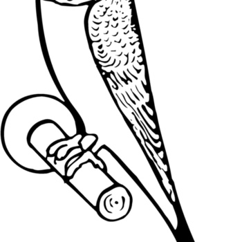 BIRD016 Thumbnail