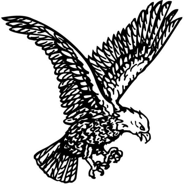 EAGLE037 Thumbnail