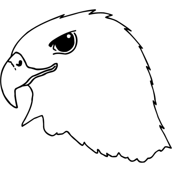 EAGLE44 Thumbnail