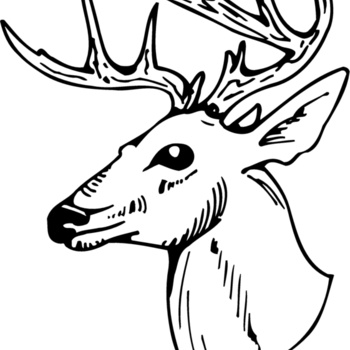 DEER018 Thumbnail