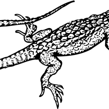 LIZARD01 Thumbnail