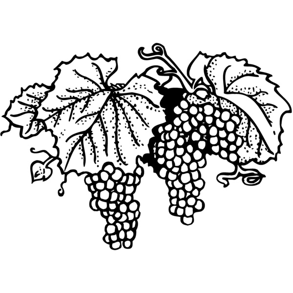 FRUIT005 Thumbnail