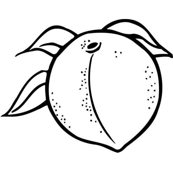 FRUIT023 Thumbnail