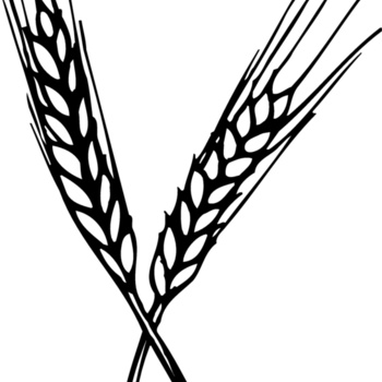 GRAIN004 Thumbnail