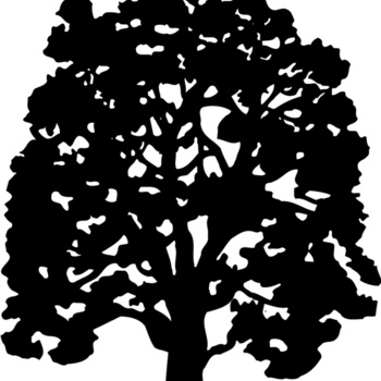 TREE0008 Thumbnail